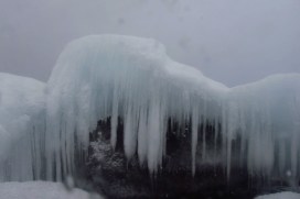 IMG_9296 - this one.JPG